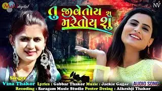 tu jive toy su mare toy su vina thakor new song gabbar thakor gujarati letest love song