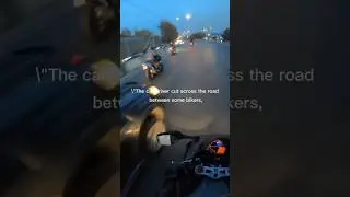 WHEN BIKERS FIGHT BACK |Moments Insane Road Rage Fights Caught on camera