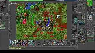 Crystal Enigma - Hz 9 - Volta Completa!
