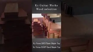 Kz Guitar Works Wood selection