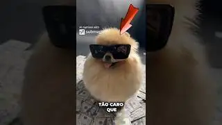 TOP 5 cachorros mais CAROS do MUNDO!🐶🌎#c&atilde;es  #cachorros  #dog  #pets  #mundoanimal #dinheiro #viral