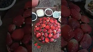 Chocolate Strawberry Cake | Fresh & Irresistible 🍫🍓 #strawberrycake #chocolatecake #youtubeshorts