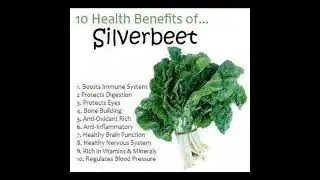 10 Health Benefits Of Silverbeet