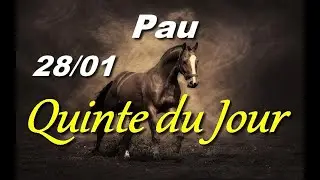 PRONOSTIC PMU QUINTE DU JOUR MERCREDI 28 JANVIER 2026