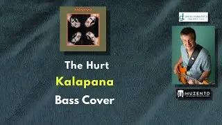 The Hurt - Kalapana - Bass Cover - Request