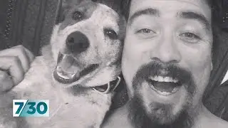 Expats trying to bring pets home face difficulties | 7.30