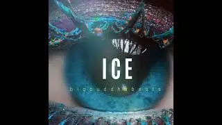 &bdquo;ICE&ldquo; prod. bigbuddhabeats