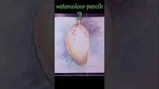 Drawing 2 | Watercolor Pencils | Mango fruit. #watercolourpencils #art #drawing