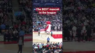 I can&rsquo;t find a better mascot ANYWHERE #nba #raptors #toronto