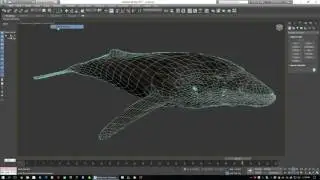 swimming whale animation