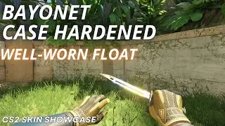 Bayonet Case Hardened (Well-Worn) | CS2 Skin Showcase with NEW Animation