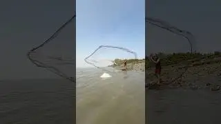 Catching big fish in the river with a jigging net. #shorts #fishing #fishingvideo #fishinglife