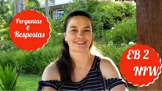 Perguntas e Respostas EB2 NIW Consular