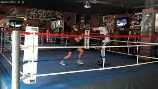 Онлайн-программа тренировок по боксу STEELEBOXER GYM www.steeleboxer.com 310-827-2697