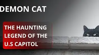 Demon Cat:The Haunting Legend of the U.S Capitol