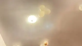 Reading the wasp versus the hornet