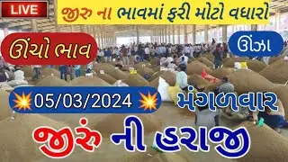 Jeera na bhav | 05/03/2024 | જીરુ ના ભાવ: 2024 | live cumin trading in APMC | commodity Trend