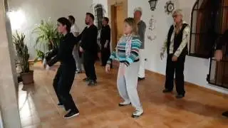Tai Chi 8 Step Form Learn Tai Chi in Javea Yang Style