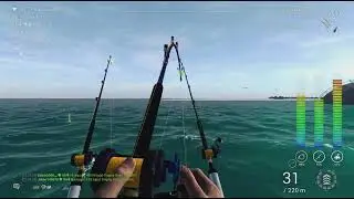 Fishing Planet - Trophy Greater Amberjack