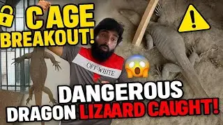 Dragon Lizard Cage Tor Kr Bahir A  Gai 🤯😵😱
