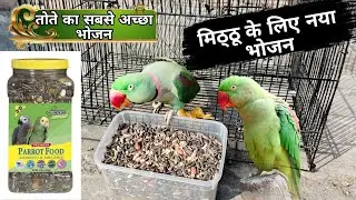तोते का सबसे अच्छा भोजन | Aaj Mera Mithu Happy Hai 