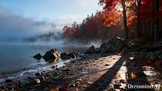[Aural Haven]--Autumn / Maple Lake: Misty Shore (가을 / 단풍 호수: 안개 낀 호숫가)**