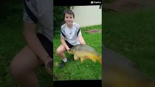 #fishing #peche #carpe