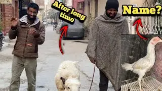 After long time rani ko lay ky walk pa gay🤗 | Aseel murgi ka name rakh laya 😎