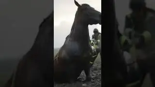 Brave Rescuers Save Service Dog and Owner from Flash Flood | Emotional Real Rescue #FlashFloodRescue