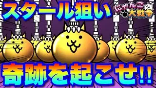 魂込めて奇跡を狙う！新限定キャラ「スタール」１点狙いの極選抜祭ガチャ動画！　#にゃんこ大戦争　#battlecats　【オレンジチャンネル】
