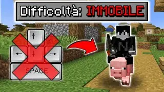 Minecraft, ma NON POSSO MUOVERMI...