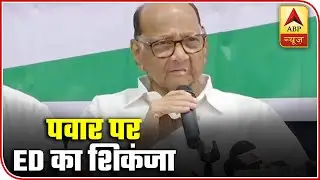 All You Need To Know About Sharad Pawar's Role In MSCB Scam | ABP News