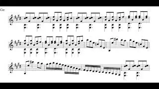 Joaquin Rodrigo - Zapateado -  Tadeu do Amaral