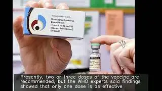 One HPV vaccine dose prevents cervical cancer: WHO