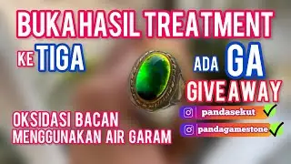 MEMBUKA HASIL TREATMENT BACAN NATURAL DENGAN OKSIDASI MENGGUNAKAN AIR GARAM dan ADA GA GIVE AWAY