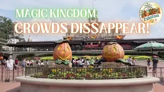 Is Magic Kingdom Less Crowded on Mickey&rsquo;s Not So Scary Party Days?