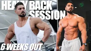 Strutt Photoshoot & Back Day