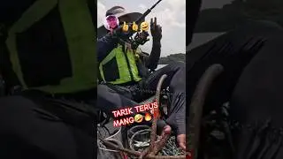 PANEN STRIKE IKAN TOMPEL‼️//@ANGLER fishing story#mancing