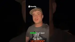 Wild Kudu Collision  Truck Damaged After Animal Attack!