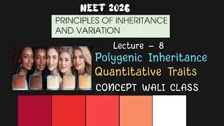 Polygenic Inheritance| Quantitative Traits| GENETICS| NCERT CLASS 12 BIOLOGY| NEET 2026