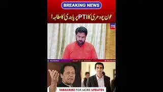 Istehkam-e-Pakistan Party leader Aun Chaudhary moves SC for ban on PTI | PNPNews