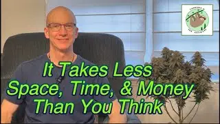Why You Should Grow Cannabis - It Takes Less Time, Less Space, and Is Less Expensive Than You Think