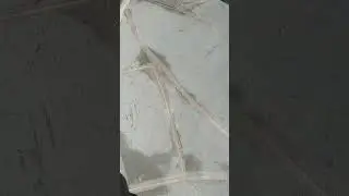 How to have perfect grout lines #concrete #contractor