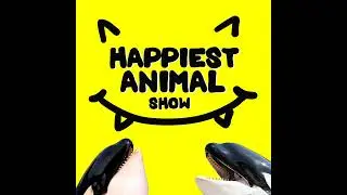 Big Ocean Animals (with National Geographic Explorer Tierney Thys)