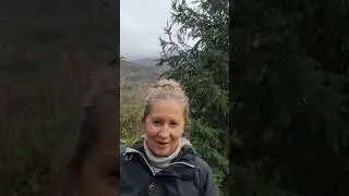 Жизнь и интеграция в Италии.