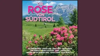 Die Rose von Südtirol