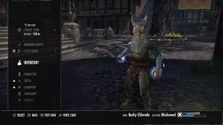 ESO One Bar No Pet Sorc Build