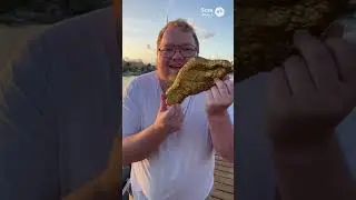 Тоха и тайна храма Эйнштейн раскрыта!
