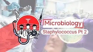 Microbiology: Staphylococcus Pt 2