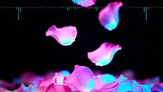 SLWMO - Without You (Official Visualizer)